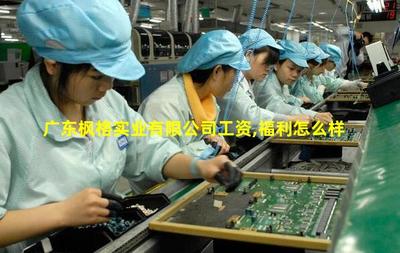 廣東楓格實(shí)業(yè) 專注針紡織品及原料銷售的專業(yè)供應(yīng)商